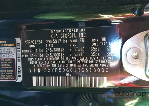 2024 Kia Telluride Sx Prestige X-Pro from USA, damaged, VIN 5XYP5DGC1RG513000